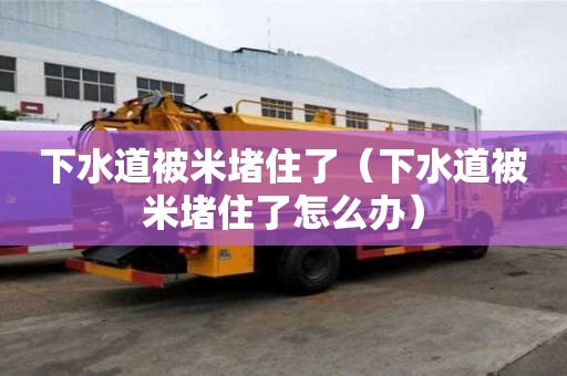 下水道被米堵住了（下水道被米堵住了怎么辦）