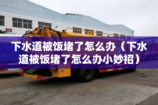下水道被飯堵了怎么辦（下水道被飯堵了怎么辦小妙招）