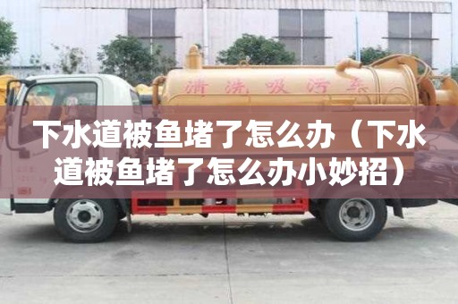 下水道被魚堵了怎么辦(下水道被魚堵了怎么辦小妙招) 下水道被魚堵了怎么辦(下水道被魚堵了怎么辦小妙招)