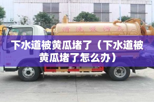 下水道被黃瓜堵了（下水道被黃瓜堵了怎么辦）