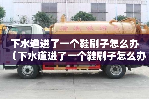 下水道進了一個鞋刷子怎么辦（下水道進了一個鞋刷子怎么辦啊）