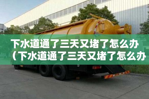 下水道通了三天又堵了怎么辦（下水道通了三天又堵了怎么辦呢）