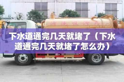 下水道通完幾天就堵了（下水道通完幾天就堵了怎么辦）