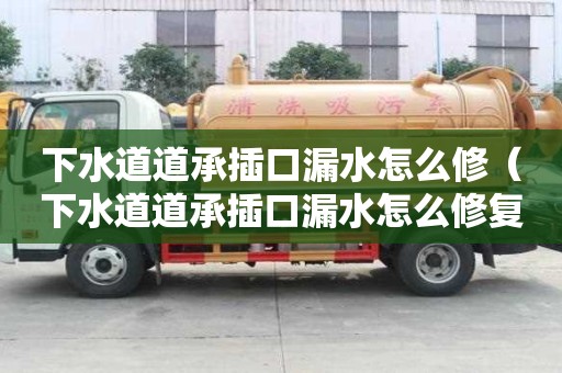 下水道道承插口漏水怎么修（下水道道承插口漏水怎么修復）