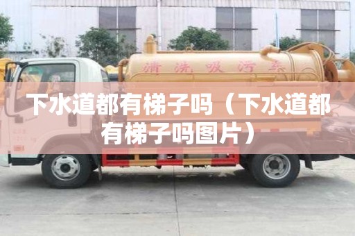 下水道都有梯子嗎（下水道都有梯子嗎圖片）