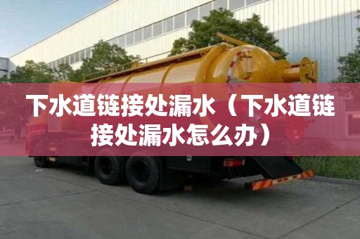 下水道鏈接處漏水（下水道鏈接處漏水怎么辦）
