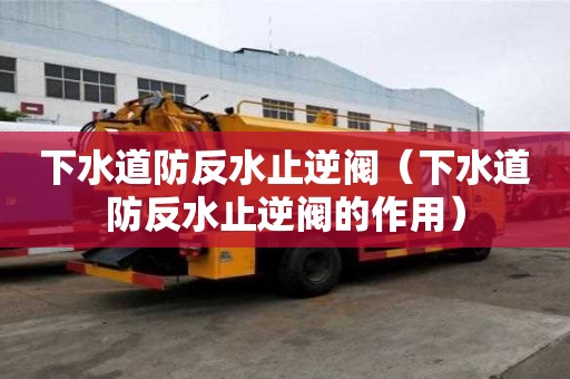 下水道防反水止逆閥（下水道防反水止逆閥的作用）