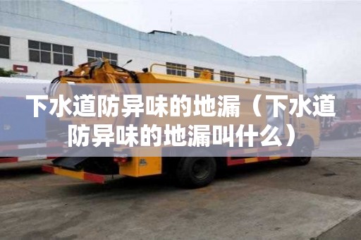 下水道防異味的地漏（下水道防異味的地漏叫什么）