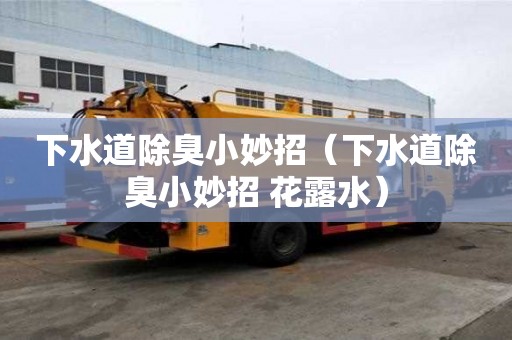 下水道除臭小妙招（下水道除臭小妙招 花露水）