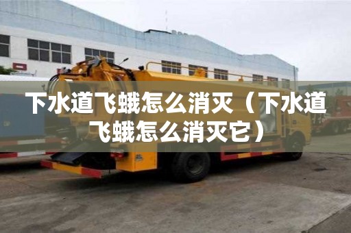 下水道飛蛾怎么消滅（下水道飛蛾怎么消滅它）