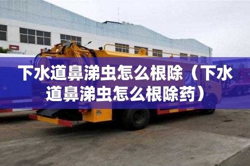 下水道鼻涕蟲怎么根除（下水道鼻涕蟲怎么根除藥）