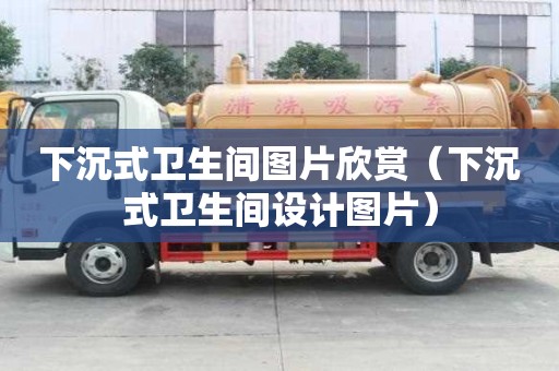下沉式衛生間圖片欣賞（下沉式衛生間設計圖片）