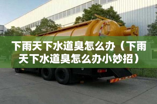 下雨天下水道臭怎么辦（下雨天下水道臭怎么辦小妙招）