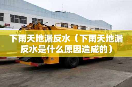 下雨天地漏反水（下雨天地漏反水是什么原因造成的）