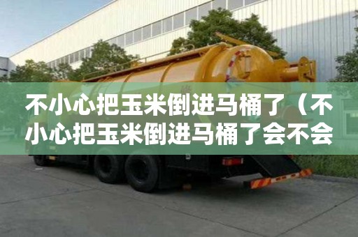 不小心把玉米倒進馬桶了(不小心把玉米倒進馬桶了會不會被堵住) 不小心把玉米倒進馬桶了(不小心把玉米倒進馬桶了會不會被堵住)