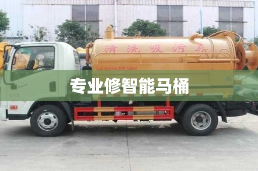 專業(yè)修智能馬桶 專業(yè)修智能馬桶
