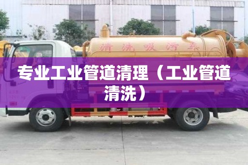專業(yè)工業(yè)管道清理（工業(yè)管道清洗）