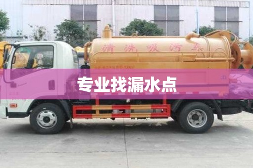 專業找漏水點