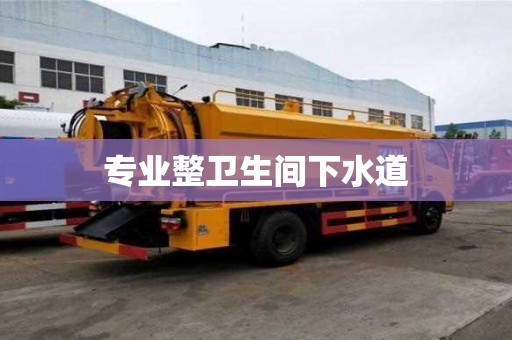 專業整衛生間下水道