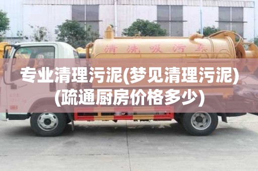 專業(yè)清理污泥(夢見清理污泥)(疏通廚房價格多少) 專業(yè)清理污泥(夢見清理污泥)(疏通廚房價格多少)