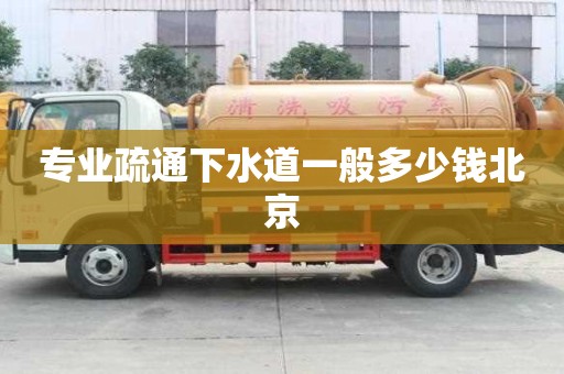 專業(yè)疏通下水道一般多少錢北京