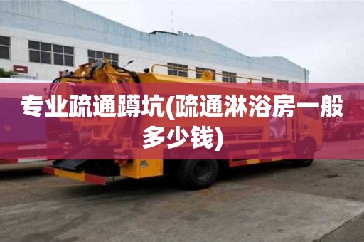 專業疏通蹲坑(疏通淋浴房一般多少錢)