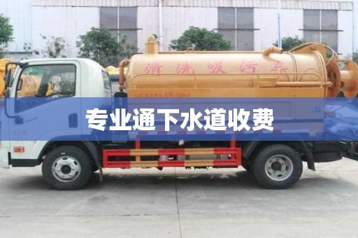 專業(yè)通下水道收費(fèi)