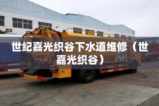 世紀嘉光織谷下水道維修（世嘉光織谷）