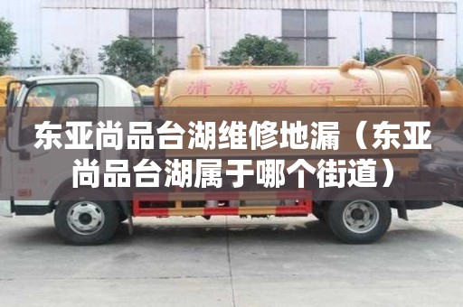 東亞尚品臺湖維修地漏（東亞尚品臺湖屬于哪個街道）