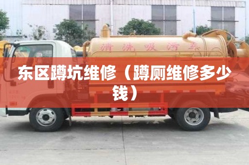 東區蹲坑維修（蹲廁維修多少錢）