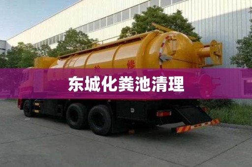 東城化糞池清理