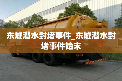 東城潛水封堵事件_東城潛水封堵事件始末