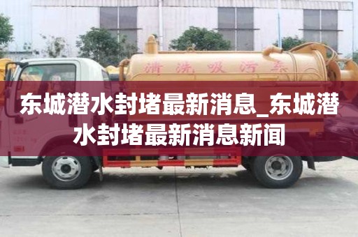 東城潛水封堵最新消息_東城潛水封堵最新消息新聞
