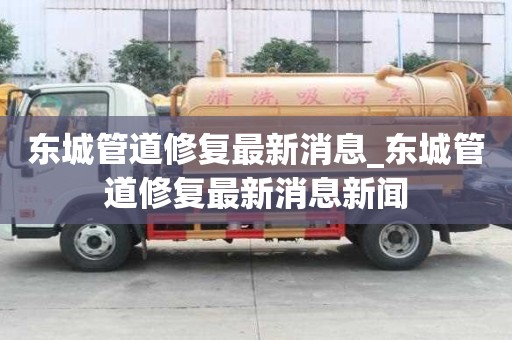 東城管道修復最新消息_東城管道修復最新消息新聞