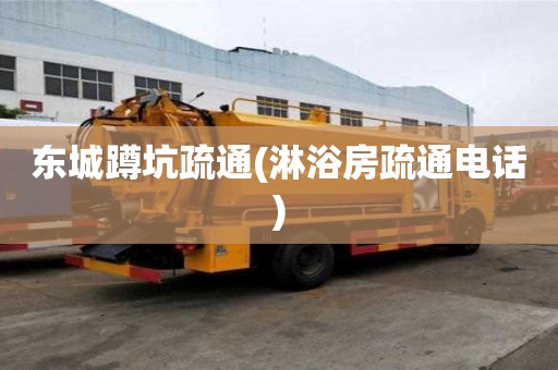 東城蹲坑疏通(淋浴房疏通電話) 東城蹲坑疏通(淋浴房疏通電話)