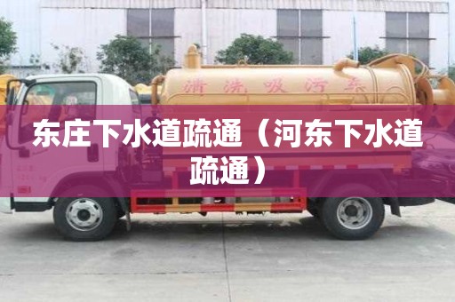 東莊下水道疏通（河東下水道疏通）