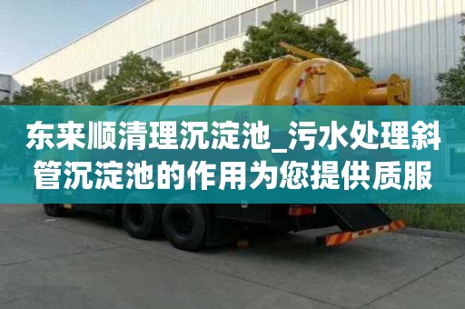 東來順清理沉淀池_污水處理斜管沉淀池的作用為您提供質(zhì)服務(wù)