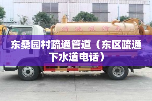 東桑園村疏通管道（東區疏通下水道電話）