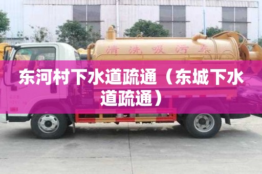 東河村下水道疏通（東城下水道疏通）