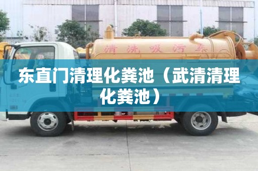 東直門清理化糞池（武清清理化糞池）