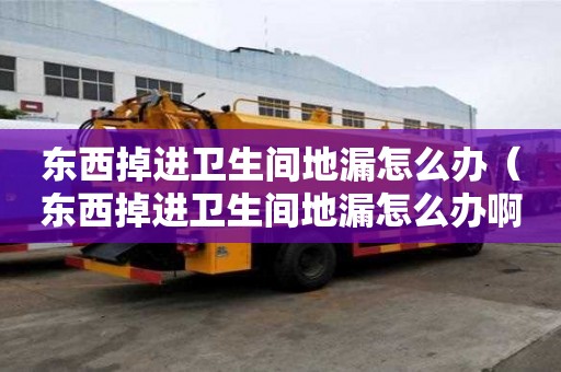 東西掉進衛生間地漏怎么辦（東西掉進衛生間地漏怎么辦啊）