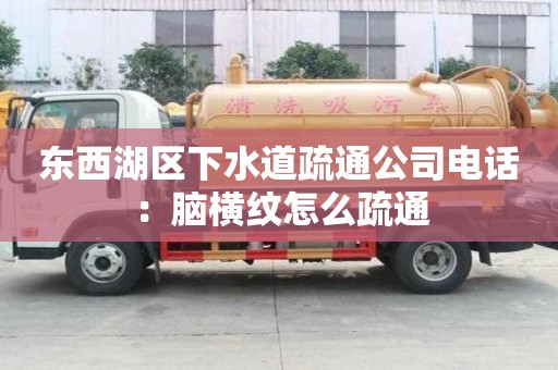 東西湖區下水道疏通公司電話：腦橫紋怎么疏通