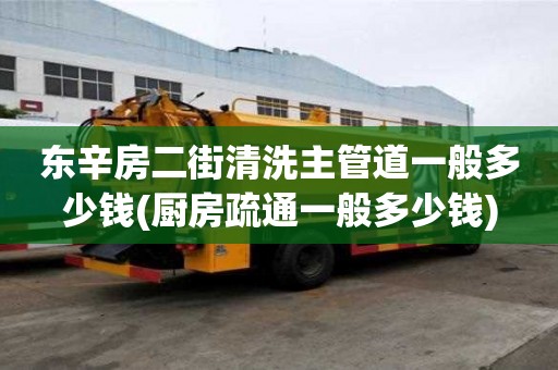 東辛房二街清洗主管道一般多少錢(廚房疏通一般多少錢)