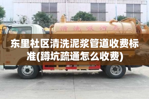 東里社區(qū)清洗泥漿管道收費標準(蹲坑疏通怎么收費)