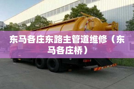 東馬各莊東路主管道維修（東馬各莊橋）