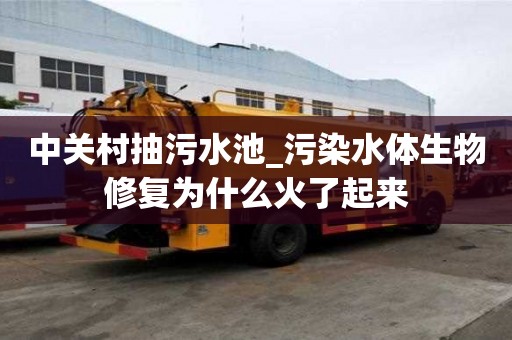 中關村抽污水池_污染水體生物修復為什么火了起來
