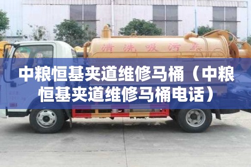 中糧恒基夾道維修馬桶（中糧恒基夾道維修馬桶電話）