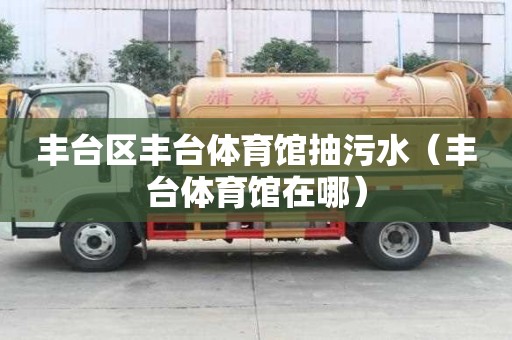 豐臺區(qū)豐臺體育館抽污水（豐臺體育館在哪）