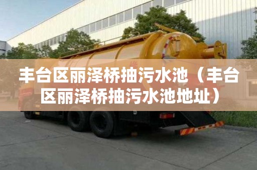 豐臺(tái)區(qū)麗澤橋抽污水池（豐臺(tái)區(qū)麗澤橋抽污水池地址）
