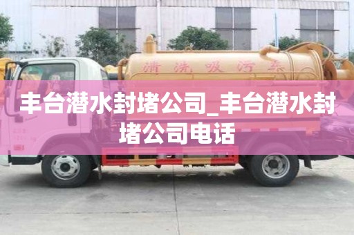 豐臺潛水封堵公司_豐臺潛水封堵公司電話